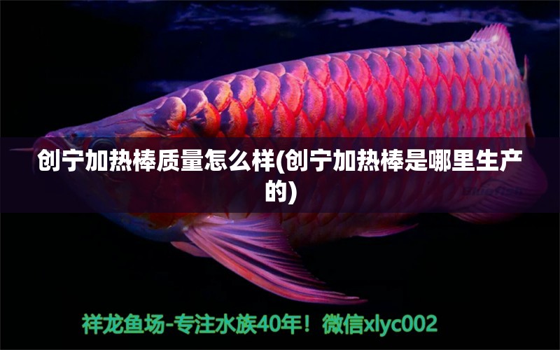 創(chuàng)寧加熱棒質(zhì)量怎么樣(創(chuàng)寧加熱棒是哪里生產(chǎn)的) 創(chuàng)寧水族