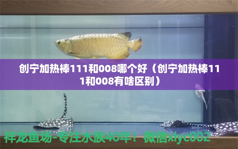 創(chuàng)寧加熱棒111和008哪個(gè)好（創(chuàng)寧加熱棒111和008有啥區(qū)別）