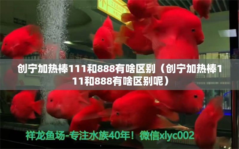 創(chuàng)寧加熱棒111和888有啥區(qū)別（創(chuàng)寧加熱棒111和888有啥區(qū)別呢）