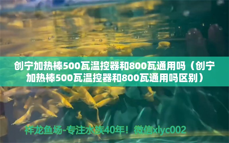 創(chuàng)寧加熱棒500瓦溫控器和800瓦通用嗎（創(chuàng)寧加熱棒500瓦溫控器和800瓦通用嗎區(qū)別） 創(chuàng)寧水族