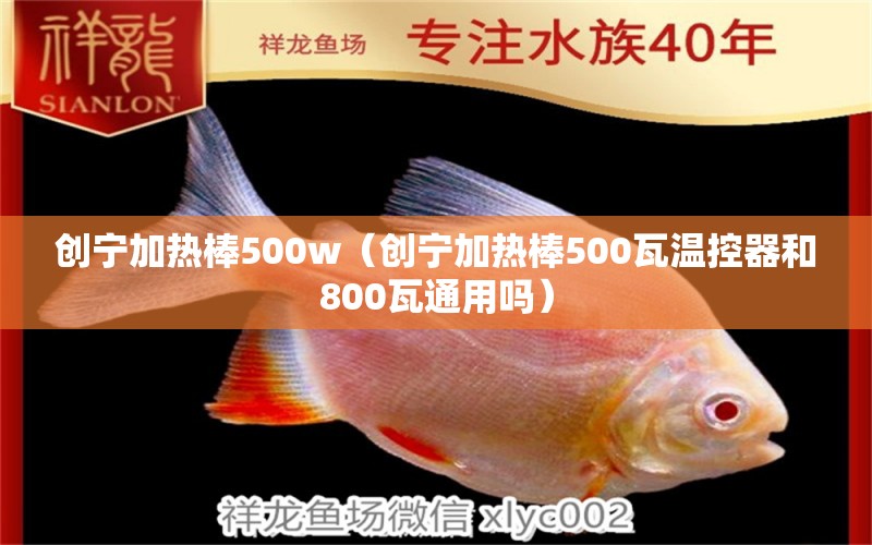 創(chuàng)寧加熱棒500w（創(chuàng)寧加熱棒500瓦溫控器和800瓦通用嗎）