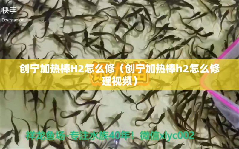 創(chuàng)寧加熱棒H2怎么修（創(chuàng)寧加熱棒h2怎么修理視頻）