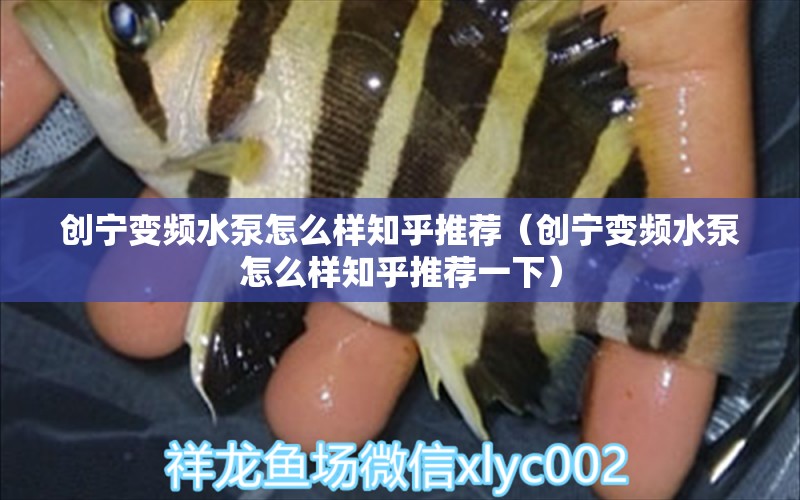 創(chuàng)寧變頻水泵怎么樣知乎推薦（創(chuàng)寧變頻水泵怎么樣知乎推薦一下）