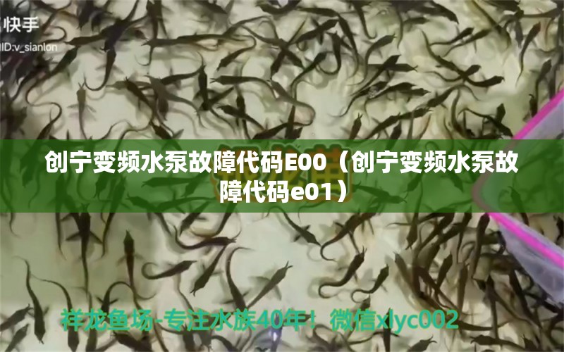 創(chuàng)寧變頻水泵故障代碼E00（創(chuàng)寧變頻水泵故障代碼e01）