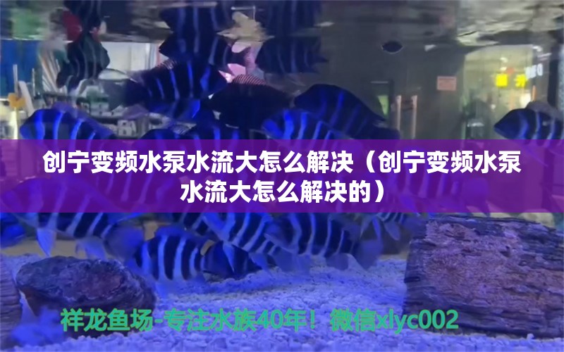 創(chuàng)寧變頻水泵水流大怎么解決（創(chuàng)寧變頻水泵水流大怎么解決的）