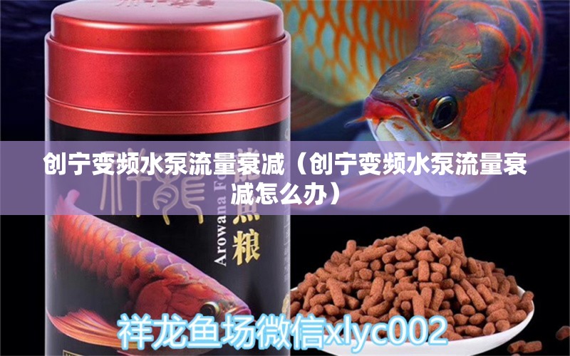 創(chuàng)寧變頻水泵流量衰減（創(chuàng)寧變頻水泵流量衰減怎么辦）