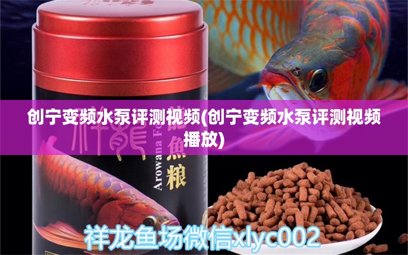 創(chuàng)寧變頻水泵評測視頻(創(chuàng)寧變頻水泵評測視頻播放)