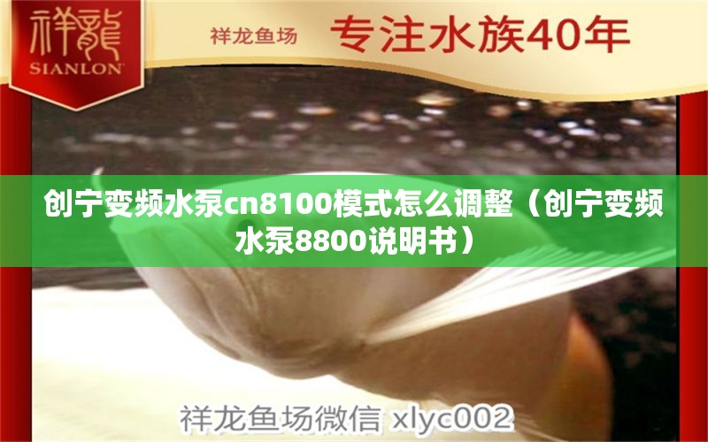 創(chuàng)寧變頻水泵cn8100模式怎么調(diào)整（創(chuàng)寧變頻水泵8800說明書）