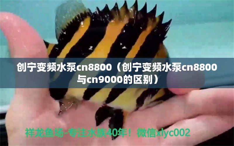 創(chuàng)寧變頻水泵cn8800（創(chuàng)寧變頻水泵cn8800與cn9000的區(qū)別）