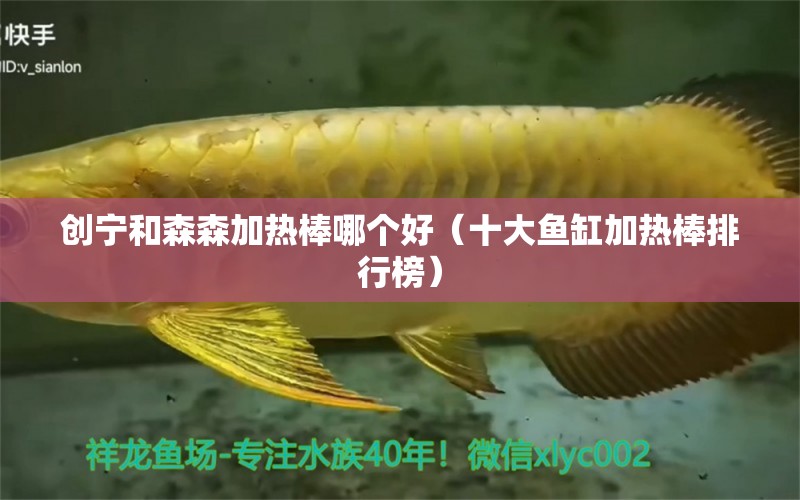 創(chuàng)寧和森森加熱棒哪個(gè)好（十大魚缸加熱棒排行榜） 創(chuàng)寧水族