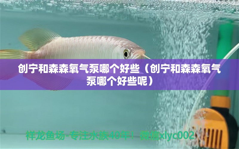 創(chuàng)寧和森森氧氣泵哪個好些（創(chuàng)寧和森森氧氣泵哪個好些呢）