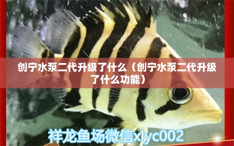 創(chuàng)寧水泵二代升級(jí)了什么（創(chuàng)寧水泵二代升級(jí)了什么功能）