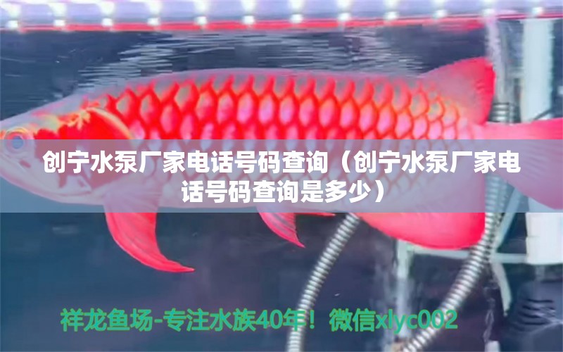 創(chuàng)寧水泵廠家電話號(hào)碼查詢(xún)（創(chuàng)寧水泵廠家電話號(hào)碼查詢(xún)是多少）