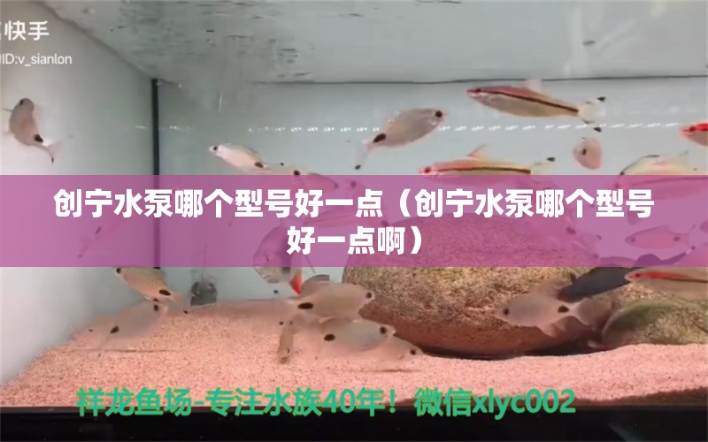 創(chuàng)寧水泵哪個型號好一點（創(chuàng)寧水泵哪個型號好一點?。? title=