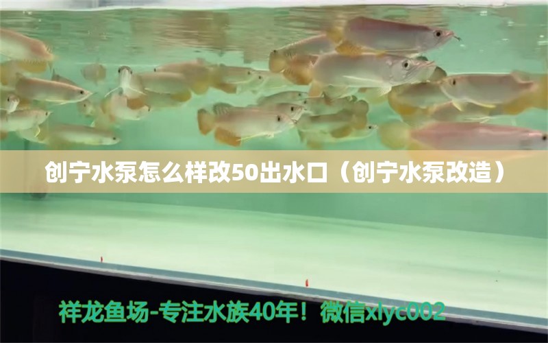 創(chuàng)寧水泵怎么樣改50出水口（創(chuàng)寧水泵改造）