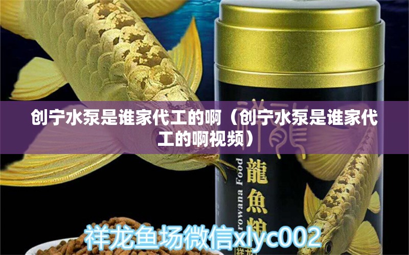 創(chuàng)寧水泵是誰(shuí)家代工的?。▌?chuàng)寧水泵是誰(shuí)家代工的啊視頻）