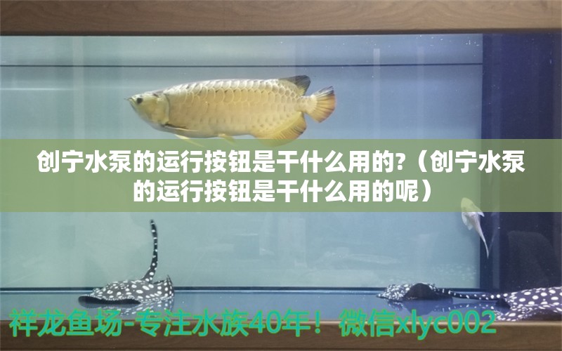 創(chuàng)寧水泵的運行按鈕是干什么用的?（創(chuàng)寧水泵的運行按鈕是干什么用的呢）