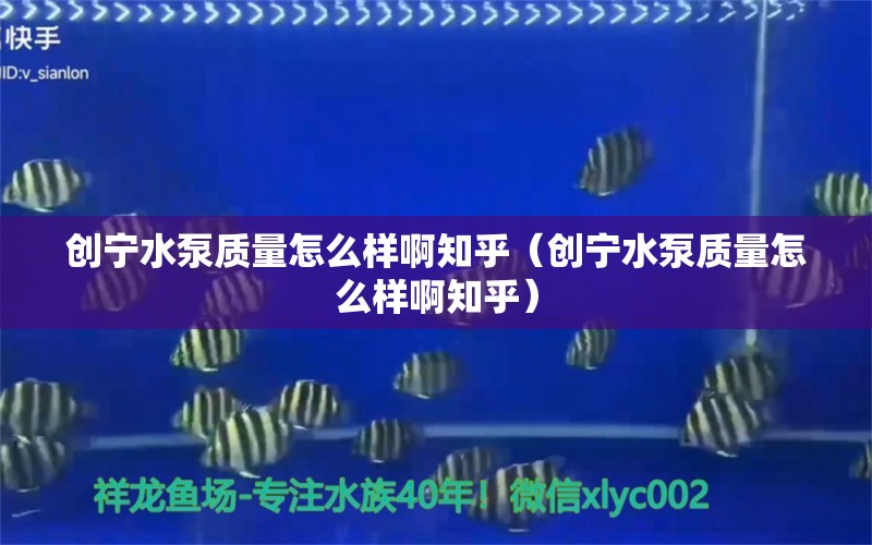 創(chuàng)寧水泵質(zhì)量怎么樣啊知乎（創(chuàng)寧水泵質(zhì)量怎么樣啊知乎）