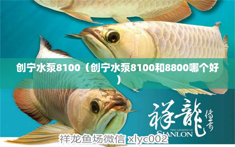 創(chuàng)寧水泵8100（創(chuàng)寧水泵8100和8800哪個(gè)好）