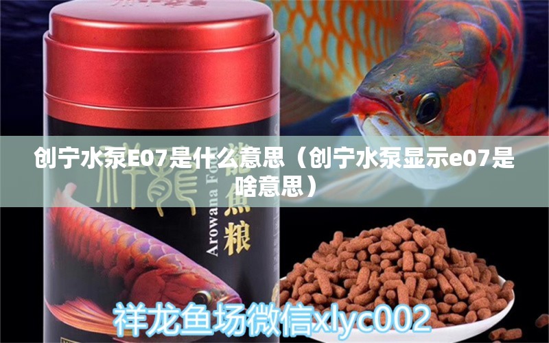 創(chuàng)寧水泵E07是什么意思（創(chuàng)寧水泵顯示e07是啥意思） 創(chuàng)寧水族