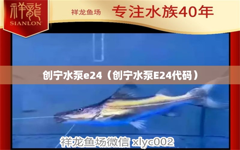 創(chuàng)寧水泵e24（創(chuàng)寧水泵E24代碼）