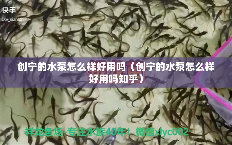 創(chuàng)寧的水泵怎么樣好用嗎（創(chuàng)寧的水泵怎么樣好用嗎知乎）