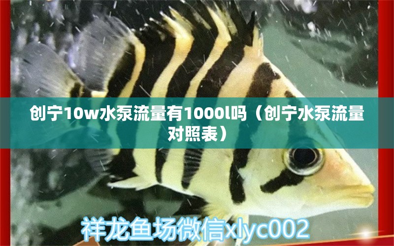 創(chuàng)寧10w水泵流量有1000l嗎（創(chuàng)寧水泵流量對照表） 創(chuàng)寧水族