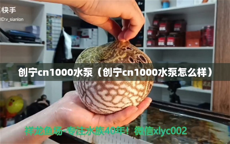 創(chuàng)寧cn1000水泵（創(chuàng)寧cn1000水泵怎么樣） 創(chuàng)寧水族