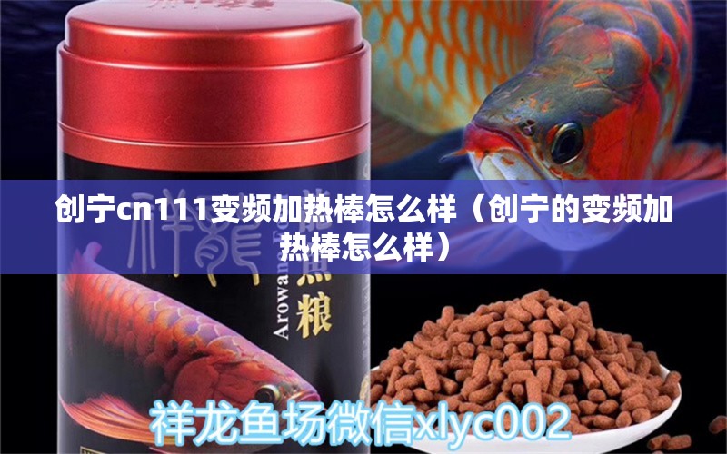 創(chuàng)寧cn111變頻加熱棒怎么樣（創(chuàng)寧的變頻加熱棒怎么樣）