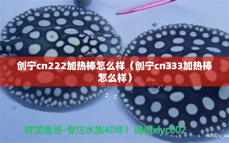 創(chuàng)寧cn222加熱棒怎么樣（創(chuàng)寧cn333加熱棒怎么樣）