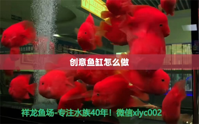 創(chuàng)意魚缸怎么做