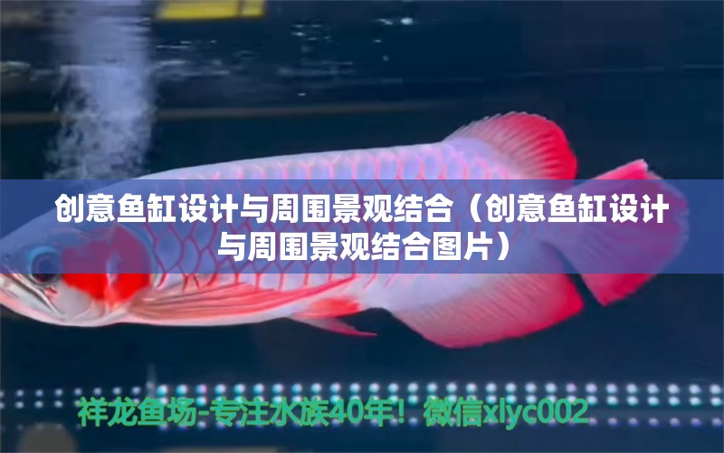 創(chuàng)意魚缸設計與周圍景觀結合（創(chuàng)意魚缸設計與周圍景觀結合圖片）