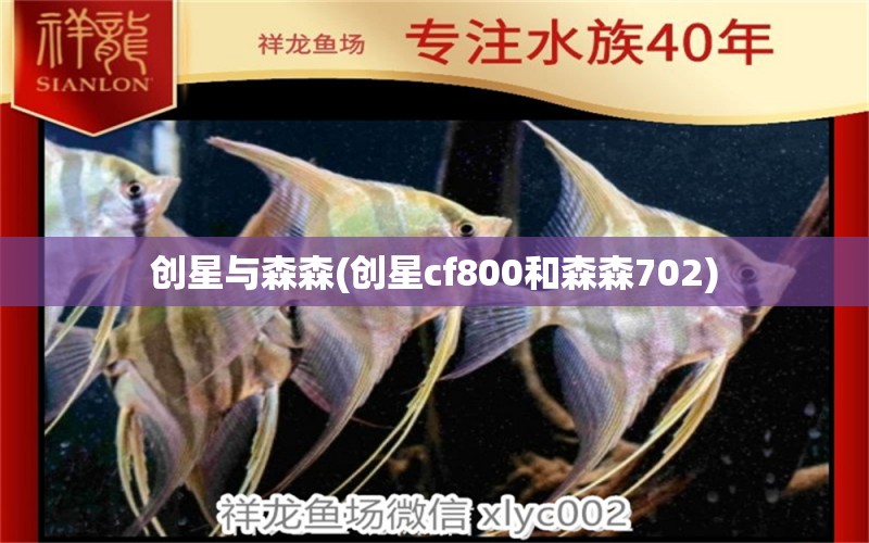 創(chuàng)星與森森(創(chuàng)星cf800和森森702) 虎紋銀版魚