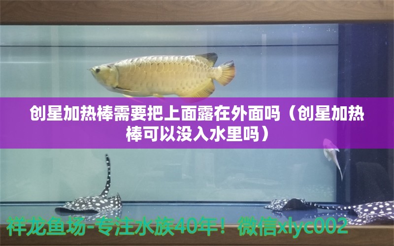 創(chuàng)星加熱棒需要把上面露在外面嗎（創(chuàng)星加熱棒可以沒入水里嗎）