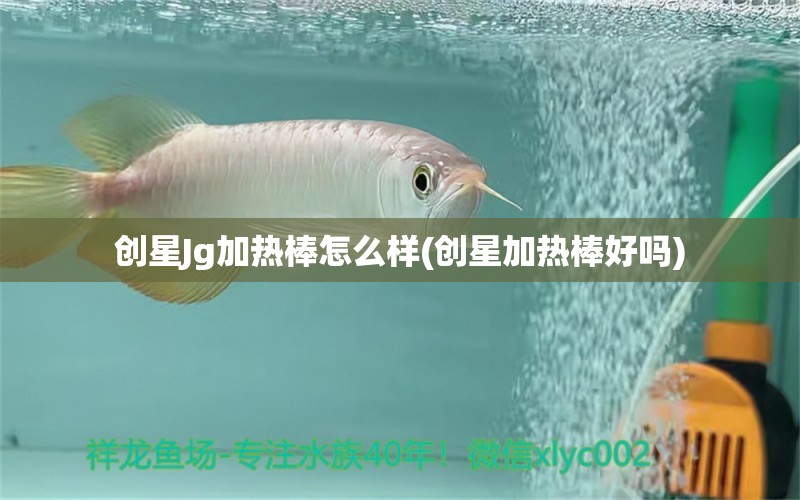 創(chuàng)星Jg加熱棒怎么樣(創(chuàng)星加熱棒好嗎) 觀賞魚(yú)飼料