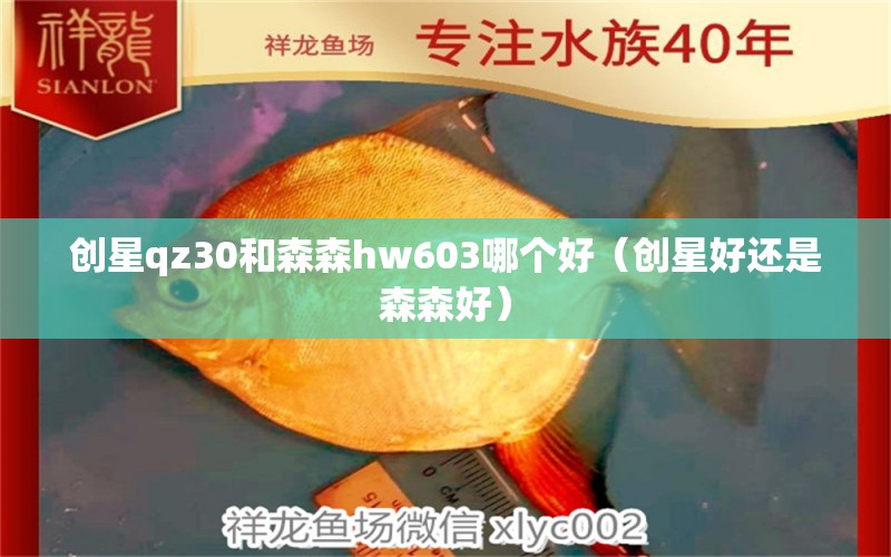 創(chuàng)星qz30和森森h(huán)w603哪個(gè)好（創(chuàng)星好還是森森好）