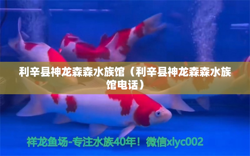 利辛縣神龍森森水族館（利辛縣神龍森森水族館電話）