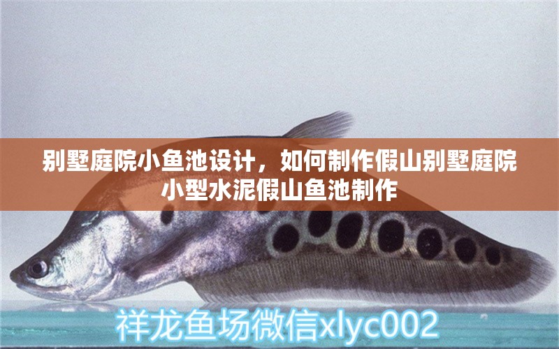 別墅庭院小魚(yú)池設(shè)計(jì)，如何制作假山別墅庭院小型水泥假山魚(yú)池制作