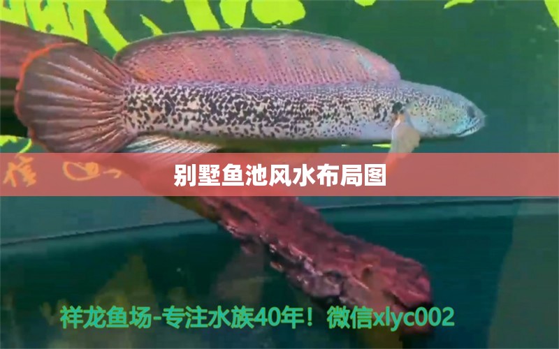 別墅魚池風(fēng)水布局圖