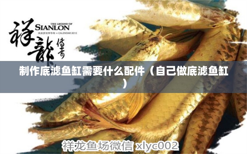 制作底濾魚缸需要什么配件（自己做底濾魚缸） 稀有紅龍品種