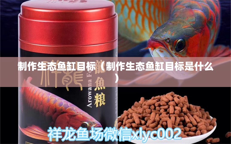 制作生態(tài)魚(yú)缸目標(biāo)（制作生態(tài)魚(yú)缸目標(biāo)是什么） 伊巴卡魚(yú)