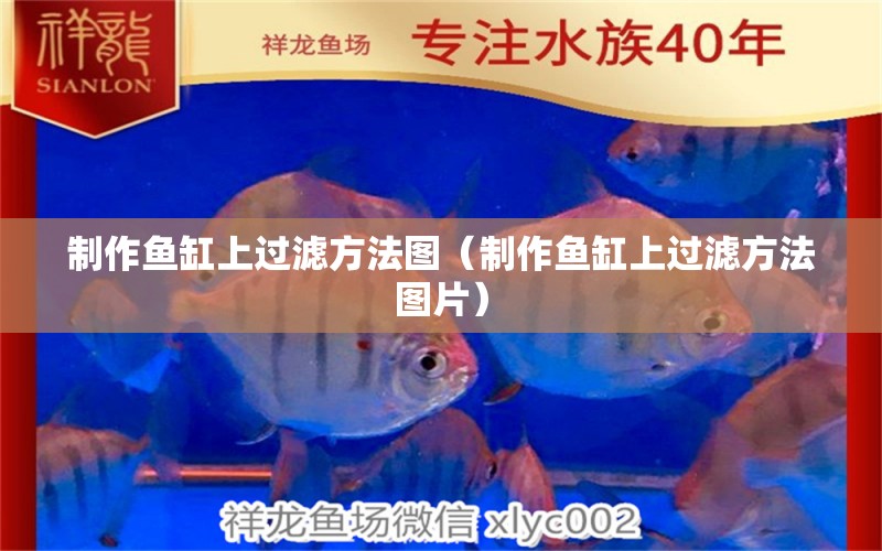 制作魚缸上過濾方法圖（制作魚缸上過濾方法圖片） 祥龍水族醫(yī)院