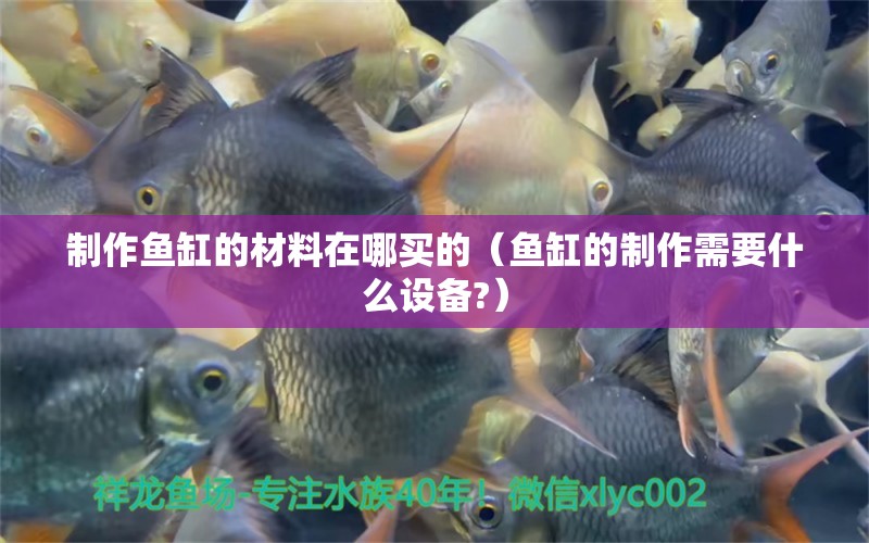 制作魚缸的材料在哪買的（魚缸的制作需要什么設(shè)備?）