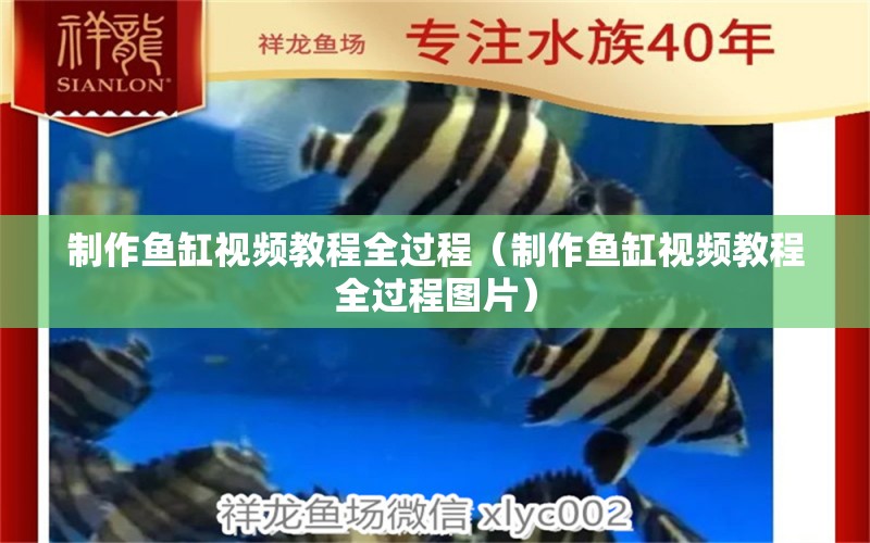 制作魚缸視頻教程全過程（制作魚缸視頻教程全過程圖片）