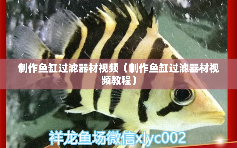 制作魚缸過(guò)濾器材視頻（制作魚缸過(guò)濾器材視頻教程）