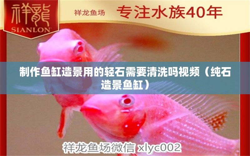 制作魚缸造景用的輕石需要清洗嗎視頻（純石造景魚缸）