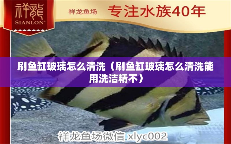 刷魚(yú)缸玻璃怎么清洗（刷魚(yú)缸玻璃怎么清洗能用洗潔精不）