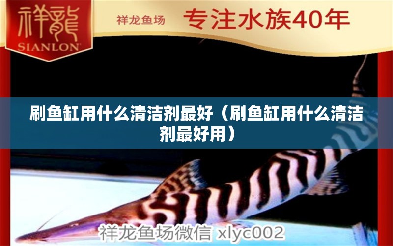 刷魚缸用什么清潔劑最好（刷魚缸用什么清潔劑最好用） 2024第28屆中國(guó)國(guó)際寵物水族展覽會(huì)CIPS（長(zhǎng)城寵物展2024 CIPS）