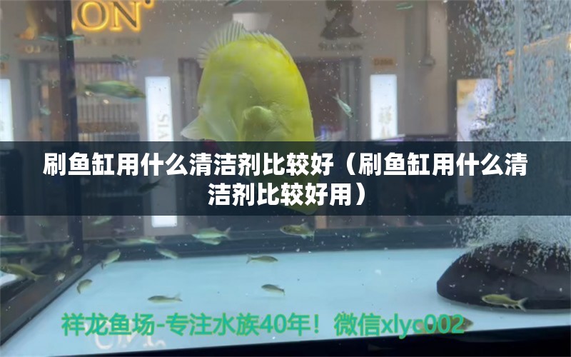 刷魚缸用什么清潔劑比較好（刷魚缸用什么清潔劑比較好用）