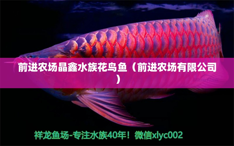 前進農(nóng)場晶鑫水族花鳥魚（前進農(nóng)場有限公司） 全國水族館企業(yè)名錄